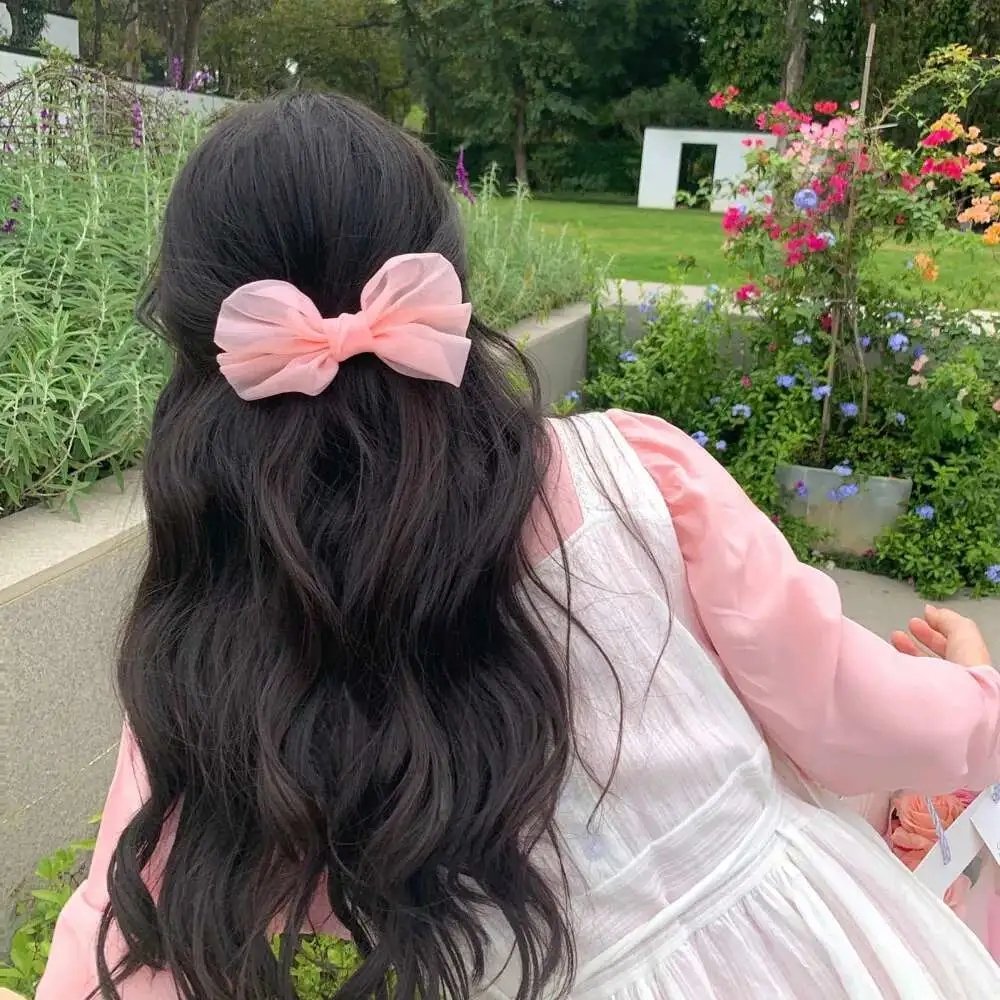 萧家有女固山河